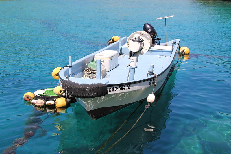 柏島．Kashiwajima┃日本高知：日本的蘭佩杜薩島，超療癒的IG熱門打卡點 @飛天璇的口袋