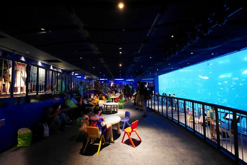 S.E.A海洋館┃新加坡旅遊：新加坡必玩的親子旅遊景點，全世界最大的水族館，超過800種海底生物超療癒 @飛天璇的口袋