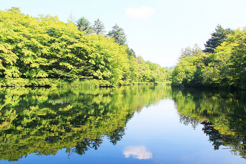 和泰產險┃旅遊保險：出國必備的旅遊不便險~班機延誤、行李不見、醫療救助，花一份小錢買無限安心 @飛天璇的口袋