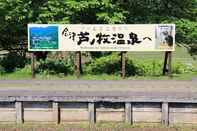 日本福島｜芦ノ牧溫泉駅．超療癒的貓咪站長Love，會津鐵道蘆之牧溫泉車站 @飛天璇的口袋