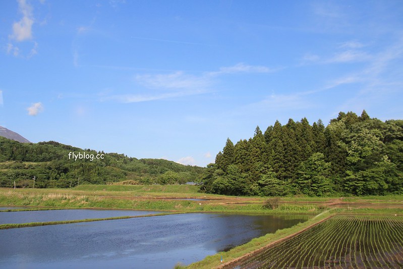 日本福島｜福島號 Fruitea甜點列車．鐵道迷必追奔馳的咖啡館，JR磐越西線的會津若松-郡山限定 @飛天璇的口袋