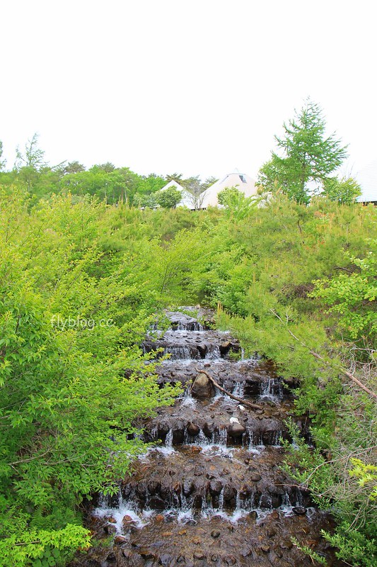 日本福島｜Angel Forest 天使之森那須白河．可愛的森林小圓屋，山林間的寵物友善飯店 @飛天璇的口袋