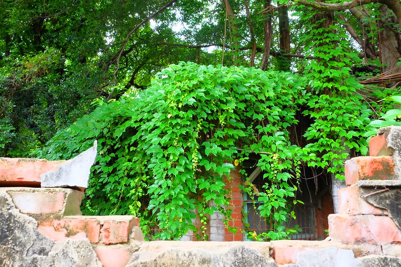 台中一日遊┃台中旅遊：台中日式微旅行，探訪台中的京都，走入古蹟現場，文化巡禮導覽 @飛天璇的口袋