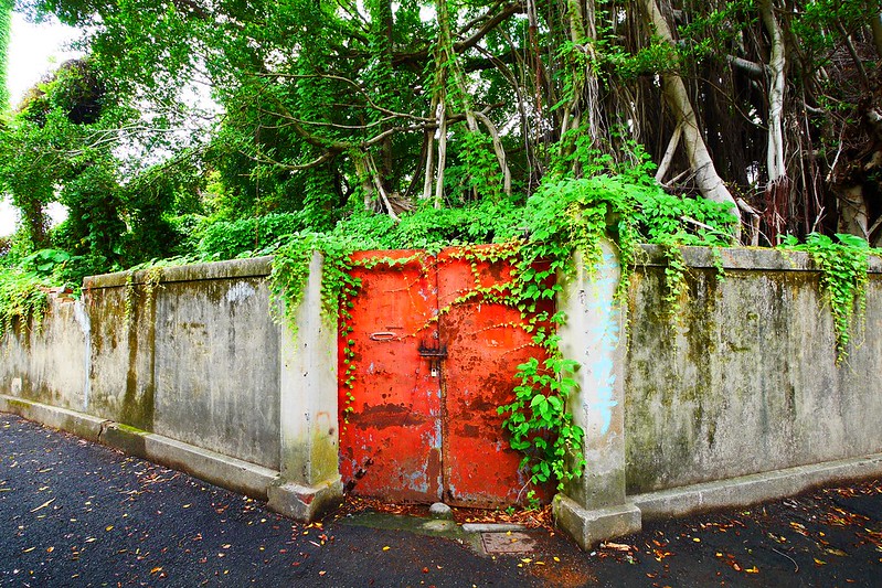 台中一日遊┃台中旅遊：台中日式微旅行，探訪台中的京都，走入古蹟現場，文化巡禮導覽 @飛天璇的口袋