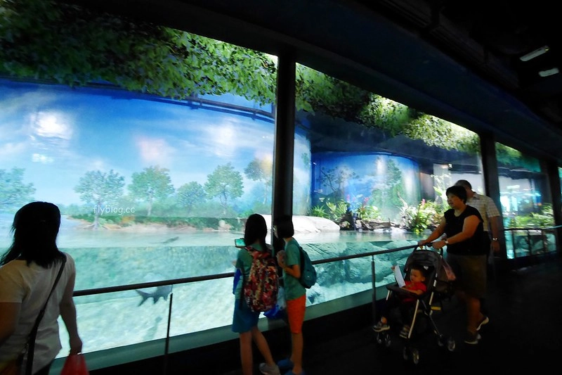 S.E.A海洋館┃新加坡旅遊：新加坡必玩的親子旅遊景點，全世界最大的水族館，超過800種海底生物超療癒 @飛天璇的口袋