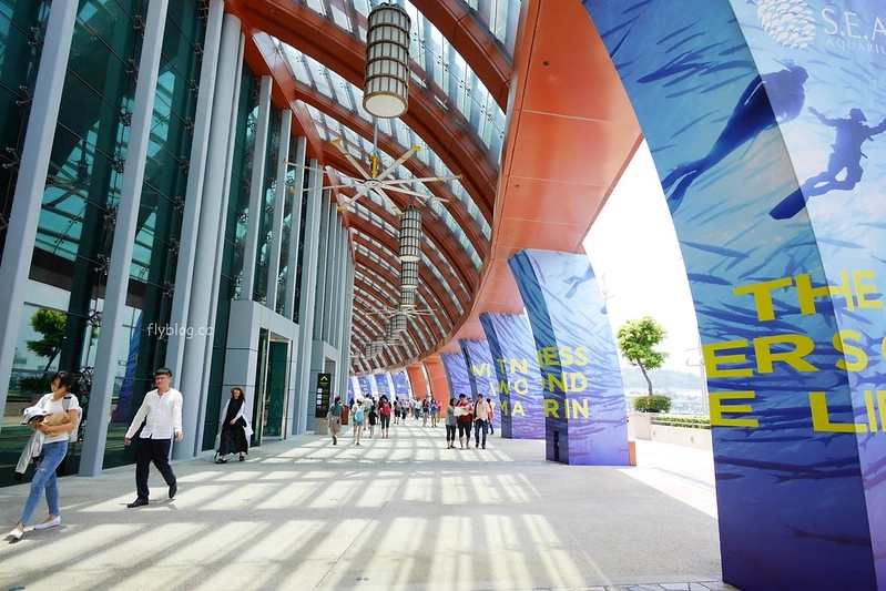 S.E.A海洋館┃新加坡旅遊：新加坡必玩的親子旅遊景點，全世界最大的水族館，超過800種海底生物超療癒 @飛天璇的口袋