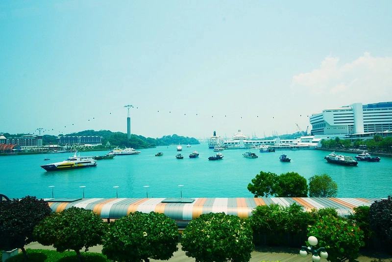 S.E.A海洋館┃新加坡旅遊：新加坡必玩的親子旅遊景點，全世界最大的水族館，超過800種海底生物超療癒 @飛天璇的口袋