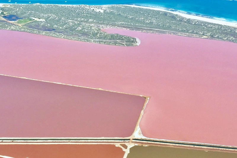 澳洲珀斯｜Hutt Lagoon 粉紅湖，西澳特別的自然景觀，上帝遺落小玫瑰，IG打卡熱門景點 @飛天璇的口袋