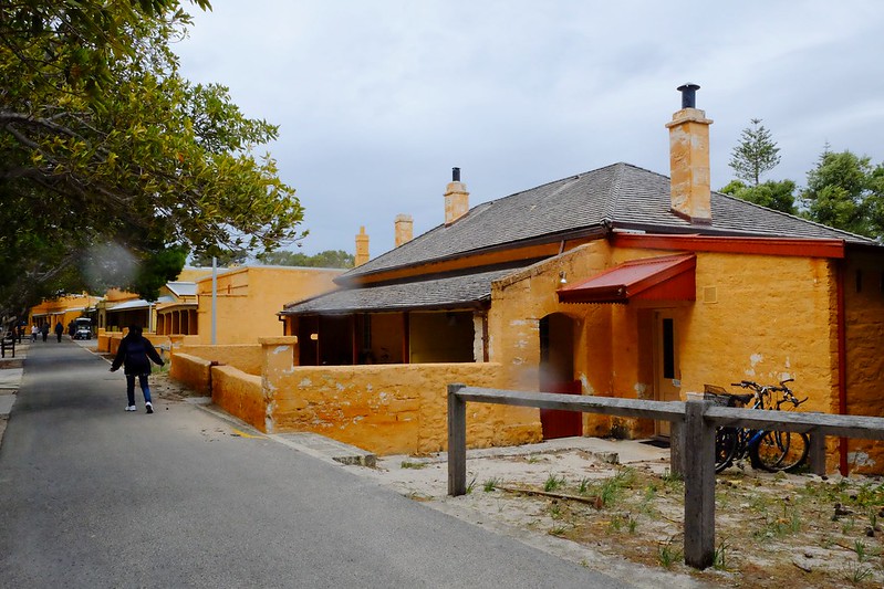 澳洲珀斯｜Rottnest Island 羅特尼斯島，西澳最受觀迎的渡假島嶼，世界最快樂的動物Quokka @飛天璇的口袋