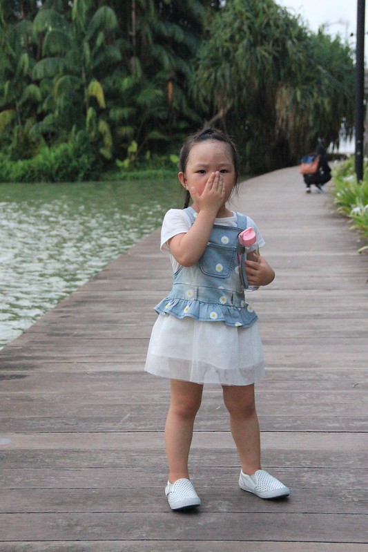 天空樹 Supertree Grove┃新加坡景點：濱海灣公園超震撼美景，走進阿凡達的星球，新加坡必遊景點推薦 @飛天璇的口袋