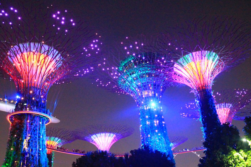 天空樹 Supertree Grove┃新加坡景點：濱海灣公園超震撼美景，走進阿凡達的星球，新加坡必遊景點推薦 @飛天璇的口袋