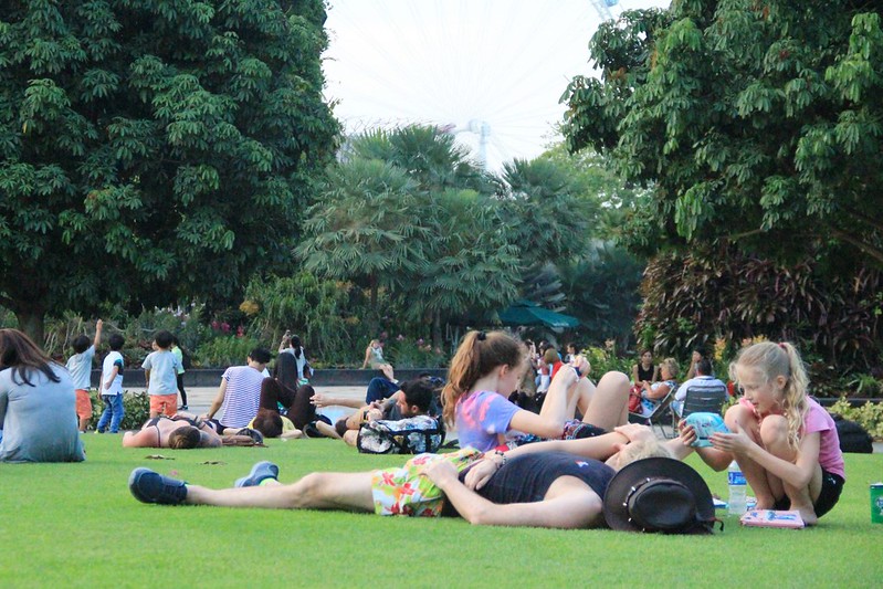 天空樹 Supertree Grove┃新加坡景點：濱海灣公園超震撼美景，走進阿凡達的星球，新加坡必遊景點推薦 @飛天璇的口袋