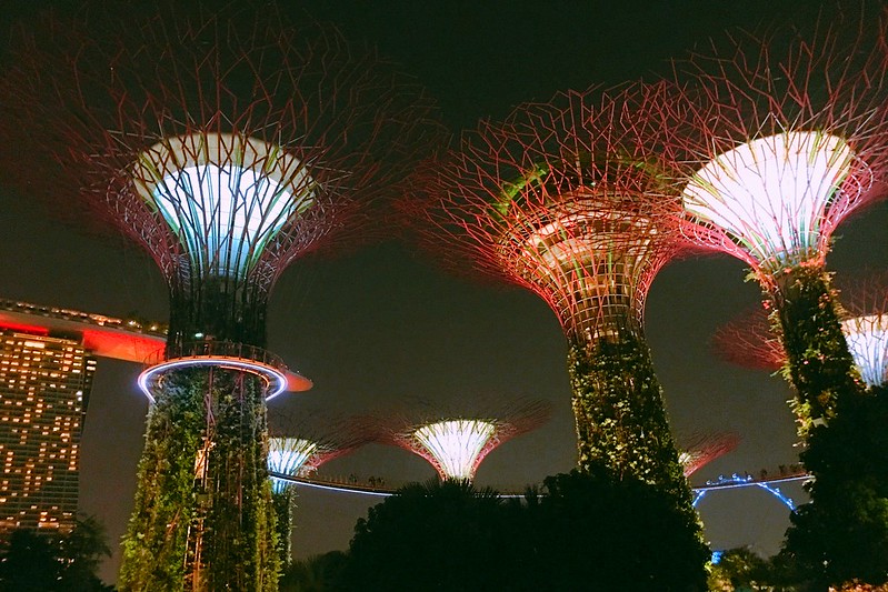 天空樹 Supertree Grove┃新加坡景點：濱海灣公園超震撼美景，走進阿凡達的星球，新加坡必遊景點推薦 @飛天璇的口袋
