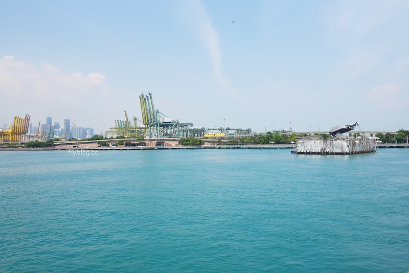 S.E.A海洋館┃新加坡旅遊：新加坡必玩的親子旅遊景點，全世界最大的水族館，超過800種海底生物超療癒 @飛天璇的口袋