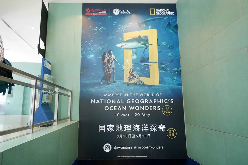 S.E.A海洋館┃新加坡旅遊：新加坡必玩的親子旅遊景點，全世界最大的水族館，超過800種海底生物超療癒 @飛天璇的口袋