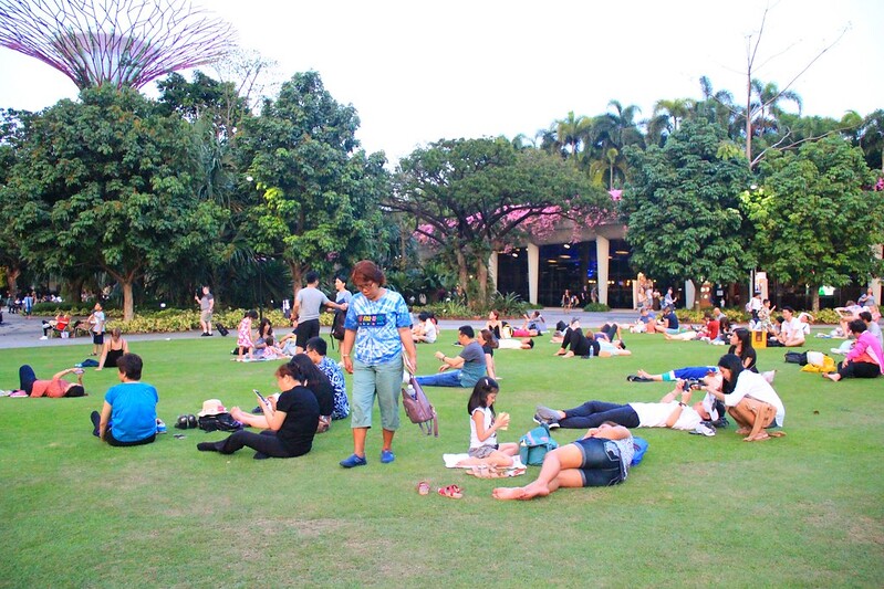 天空樹 Supertree Grove┃新加坡景點：濱海灣公園超震撼美景，走進阿凡達的星球，新加坡必遊景點推薦 @飛天璇的口袋
