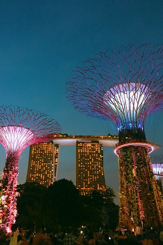 天空樹 Supertree Grove┃新加坡景點：濱海灣公園超震撼美景，走進阿凡達的星球，新加坡必遊景點推薦 @飛天璇的口袋