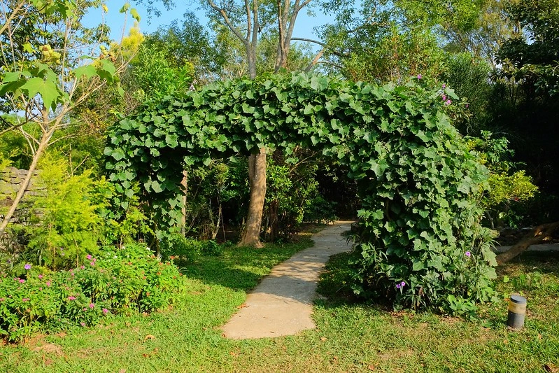 VilaVilla魔法莊園｜苗栗卓蘭景觀餐廳，結合樹屋、沙坑、溜滑梯，苗栗親子美食旅遊景點推薦 @飛天璇的口袋