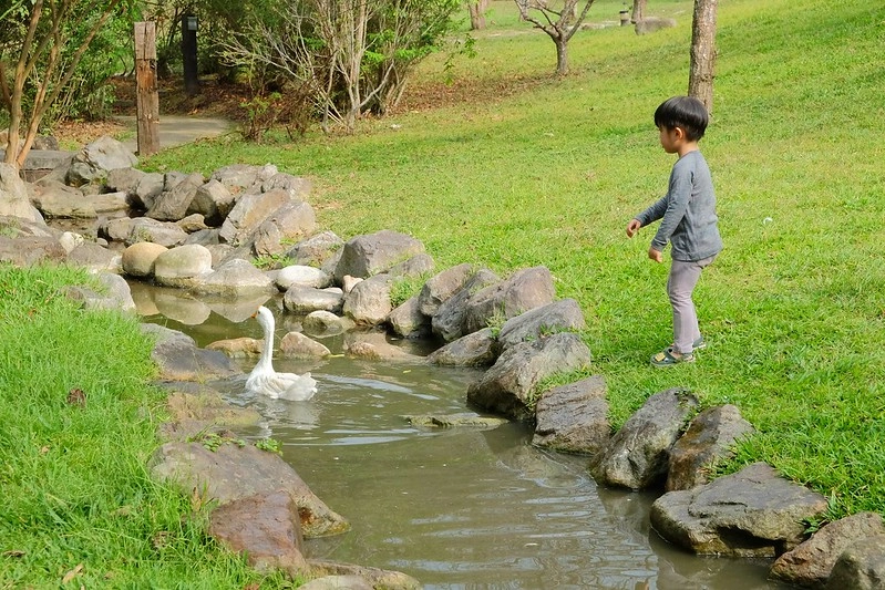 VilaVilla魔法莊園｜苗栗卓蘭景觀餐廳，結合樹屋、沙坑、溜滑梯，苗栗親子美食旅遊景點推薦 @飛天璇的口袋