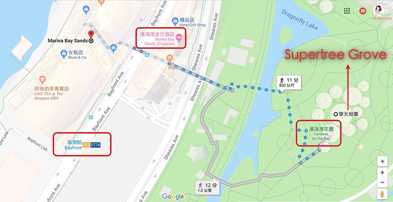 天空樹 Supertree Grove┃新加坡景點：濱海灣公園超震撼美景，走進阿凡達的星球，新加坡必遊景點推薦 @飛天璇的口袋
