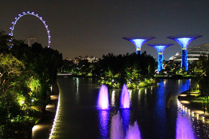 天空樹 Supertree Grove┃新加坡景點：濱海灣公園超震撼美景，走進阿凡達的星球，新加坡必遊景點推薦 @飛天璇的口袋