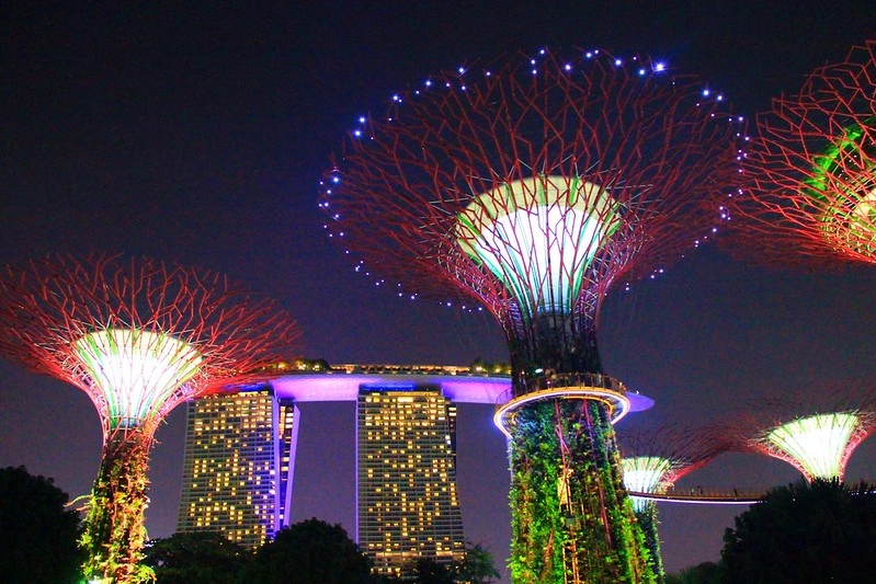 天空樹 Supertree Grove┃新加坡景點：濱海灣公園超震撼美景，走進阿凡達的星球，新加坡必遊景點推薦 @飛天璇的口袋