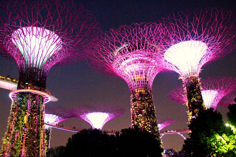 天空樹 Supertree Grove┃新加坡景點：濱海灣公園超震撼美景，走進阿凡達的星球，新加坡必遊景點推薦 @飛天璇的口袋