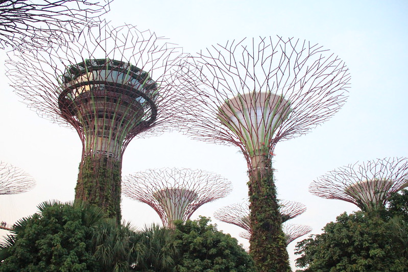 天空樹 Supertree Grove┃新加坡景點：濱海灣公園超震撼美景，走進阿凡達的星球，新加坡必遊景點推薦 @飛天璇的口袋