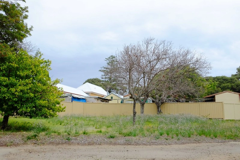 澳洲珀斯｜Rottnest Island 羅特尼斯島，西澳最受觀迎的渡假島嶼，世界最快樂的動物Quokka @飛天璇的口袋