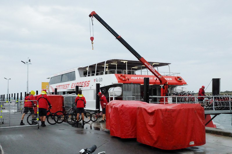 澳洲珀斯｜Rottnest Island 羅特尼斯島，西澳最受觀迎的渡假島嶼，世界最快樂的動物Quokka @飛天璇的口袋