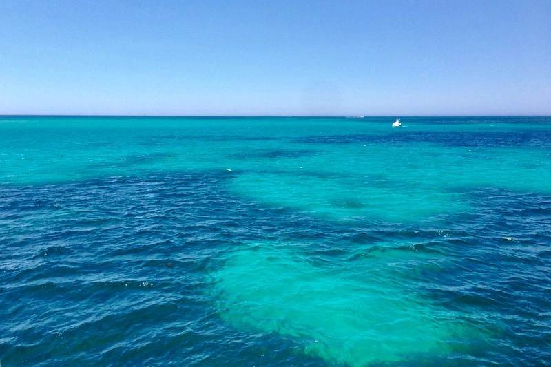 澳洲珀斯｜Rottnest Island 羅特尼斯島，西澳最受觀迎的渡假島嶼，世界最快樂的動物Quokka @飛天璇的口袋