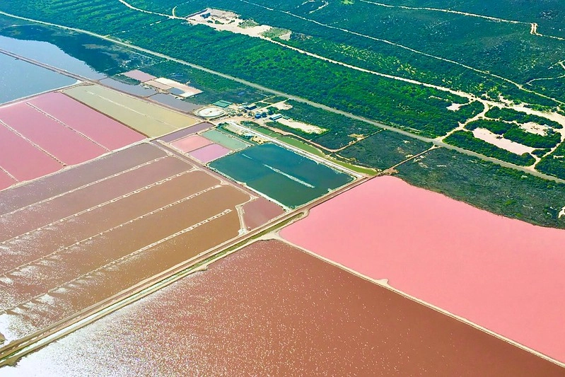 澳洲珀斯｜Hutt Lagoon 粉紅湖，西澳特別的自然景觀，上帝遺落小玫瑰，IG打卡熱門景點 @飛天璇的口袋