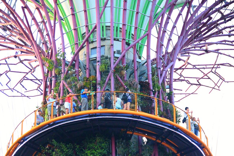 天空樹 Supertree Grove┃新加坡景點：濱海灣公園超震撼美景，走進阿凡達的星球，新加坡必遊景點推薦 @飛天璇的口袋