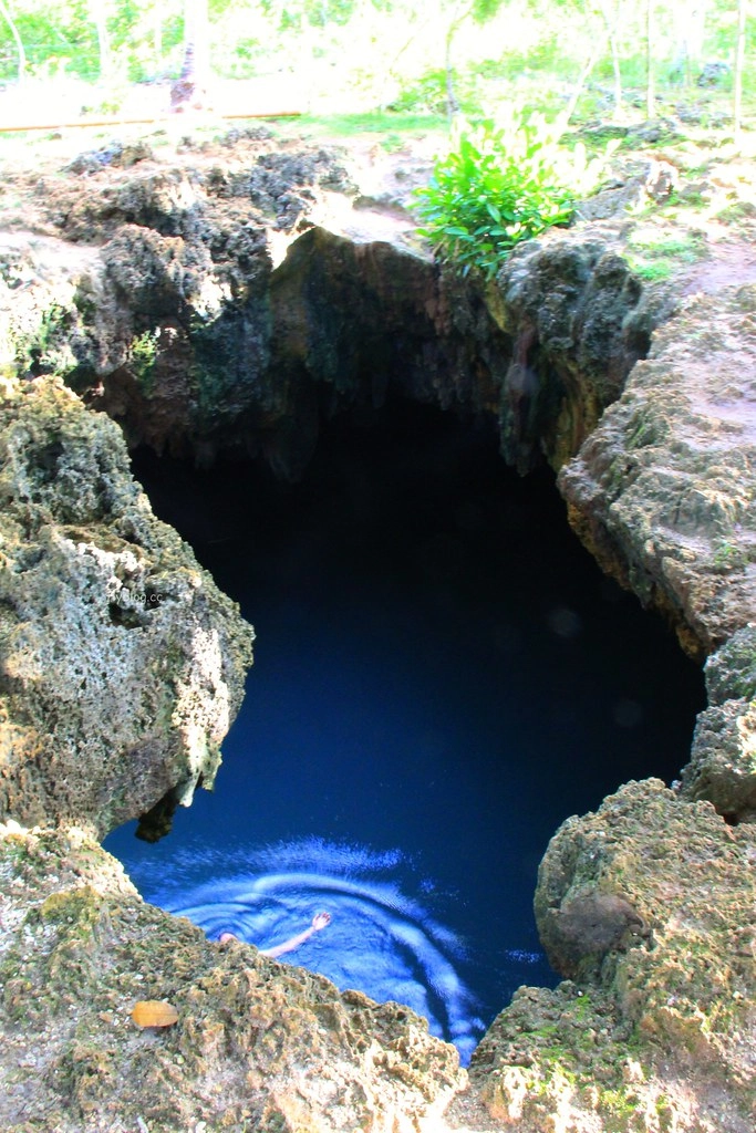 菲律賓薄荷島｜薄荷島5天4夜行程．行前需知、旅遊景點、飯店住宿、美食餐廳、必買伴手禮 @飛天璇的口袋