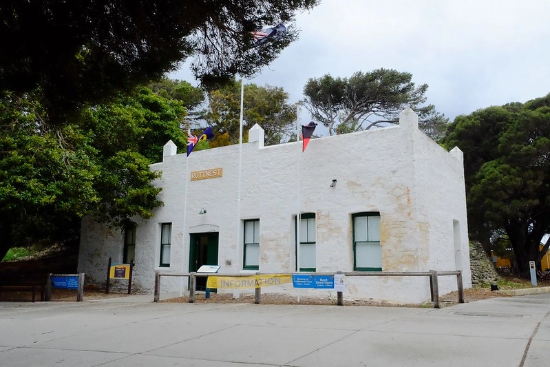 澳洲珀斯｜Rottnest Island 羅特尼斯島，西澳最受觀迎的渡假島嶼，世界最快樂的動物Quokka @飛天璇的口袋