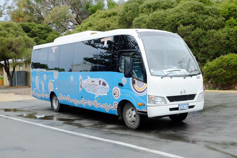澳洲珀斯｜Rottnest Island 羅特尼斯島，西澳最受觀迎的渡假島嶼，世界最快樂的動物Quokka @飛天璇的口袋