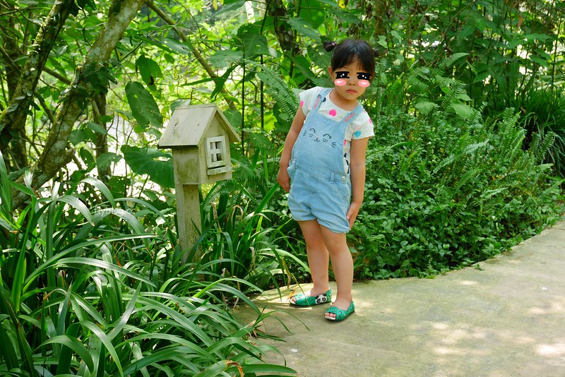 台中新社｜緩慢尋路香草House．住在薰衣草森林裡享受大自然，晚上觀賞夜間童話旋轉木馬 @飛天璇的口袋