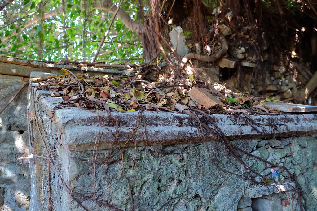 南寮古厝：2017全球百大綠色旅遊地，保留傳統注入新生命 @飛天璇的口袋