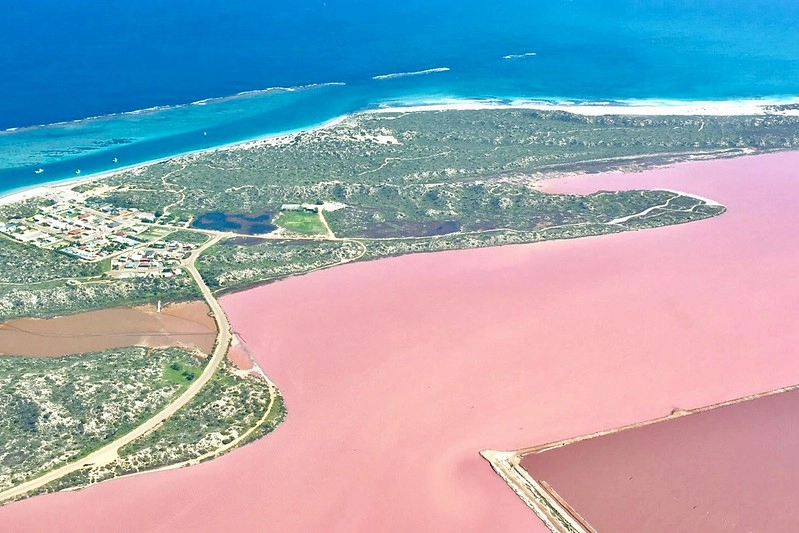 澳洲珀斯｜Hutt Lagoon 粉紅湖，西澳特別的自然景觀，上帝遺落小玫瑰，IG打卡熱門景點 @飛天璇的口袋