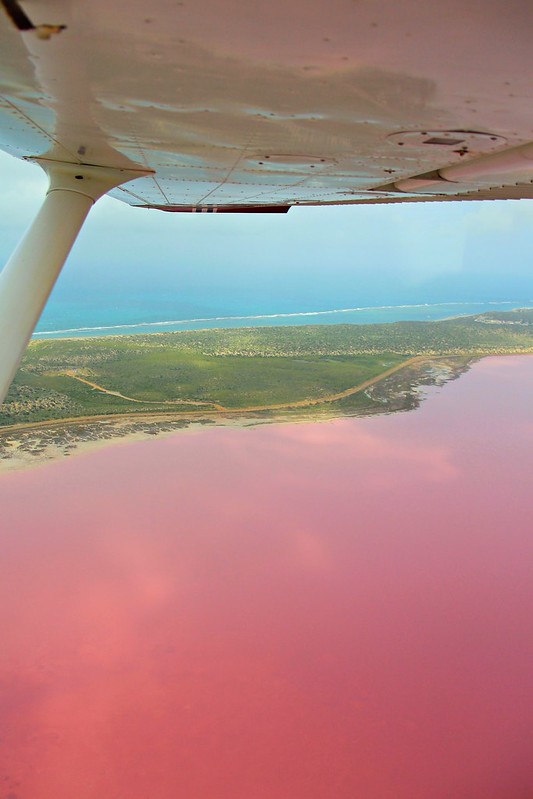 澳洲珀斯｜Hutt Lagoon 粉紅湖，西澳特別的自然景觀，上帝遺落小玫瑰，IG打卡熱門景點 @飛天璇的口袋