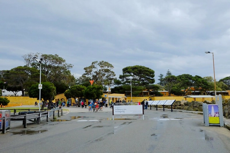 澳洲珀斯｜Rottnest Island 羅特尼斯島，西澳最受觀迎的渡假島嶼，世界最快樂的動物Quokka @飛天璇的口袋
