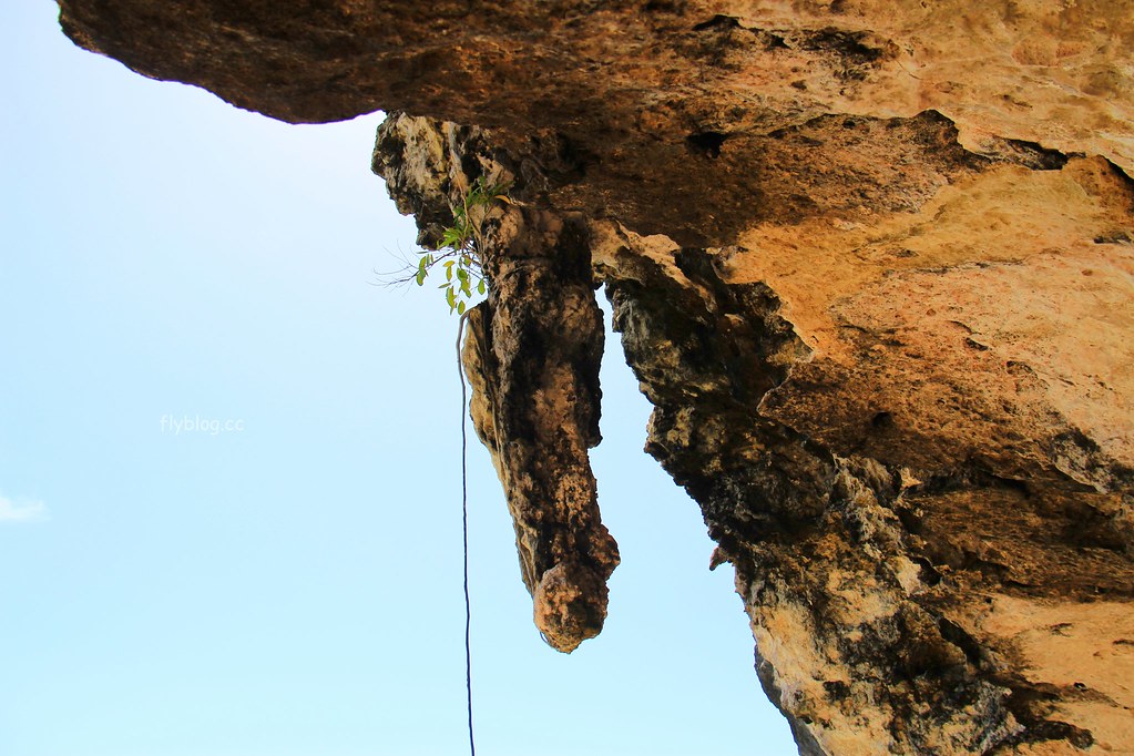 Lamanok Island┃薄荷島景點：薄荷島超隱密生態小島，享受不一樣的生態之旅 @飛天璇的口袋