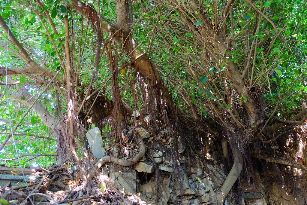 南寮古厝：2017全球百大綠色旅遊地，保留傳統注入新生命 @飛天璇的口袋