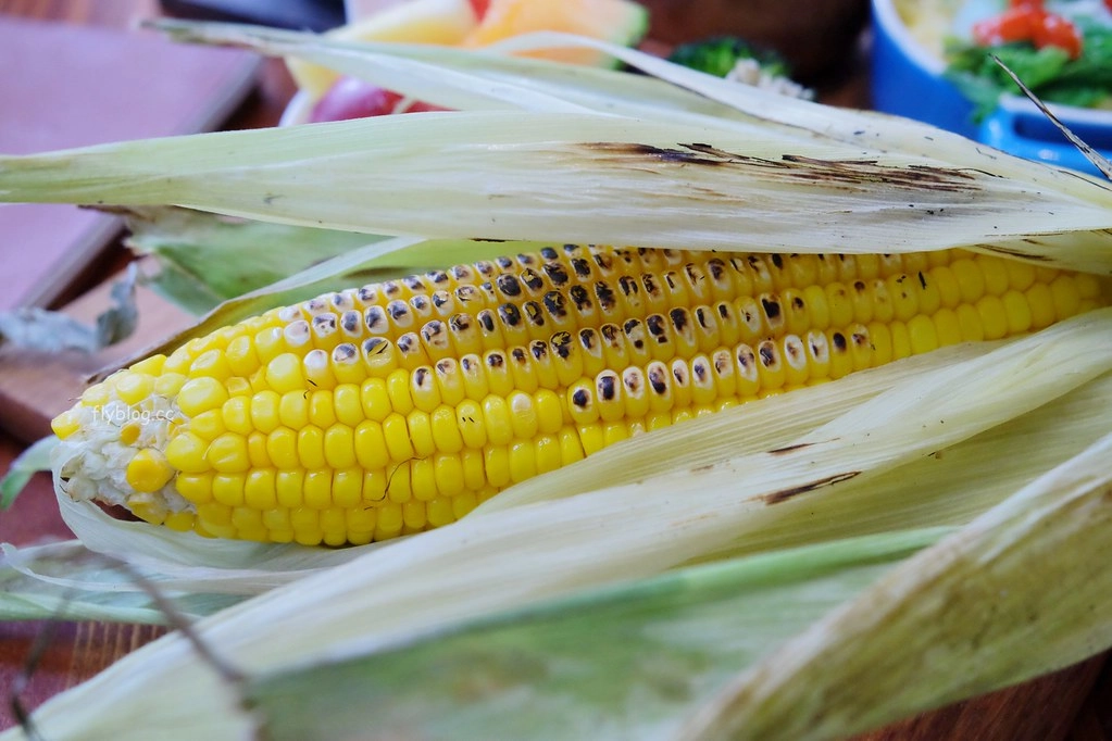 台中西區｜堅果小巷，超美落地窗玻璃屋老宅建築，餐點用心好吃變化性高 @飛天璇的口袋