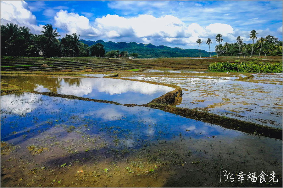 Eluterio’s Farm Rice Terraces薄荷島梯田 + Can-Umantad Falls瀑布：深度旅遊薄荷島，體驗田園風光和密境瀑布 @飛天璇的口袋