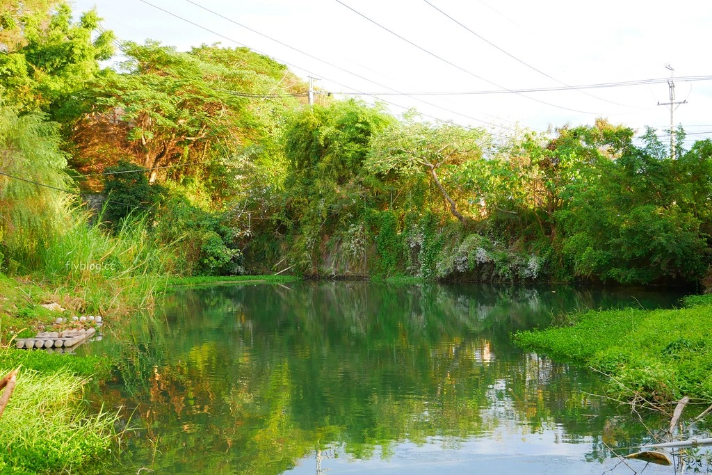【台中東勢】里趣咖啡 Niki，柳暗花明又一村的咖啡館，IG拍照親子旅遊的好地方 @飛天璇的口袋