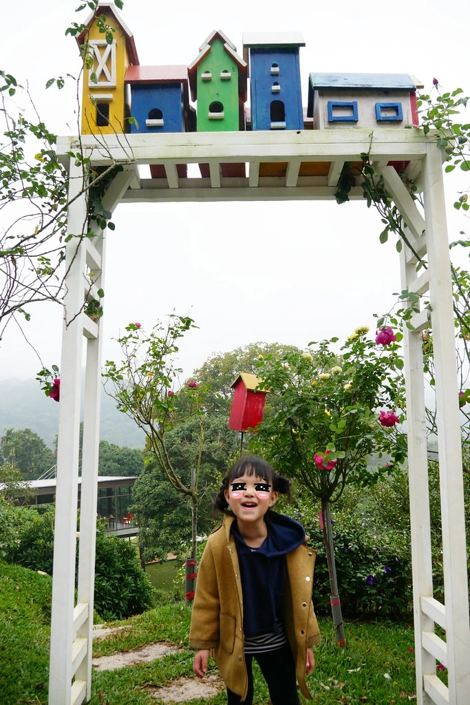 苗栗頭屋｜橙香森林．森林裡面的浪漫玻璃屋，有大片草原和橙香隧道 @飛天璇的口袋