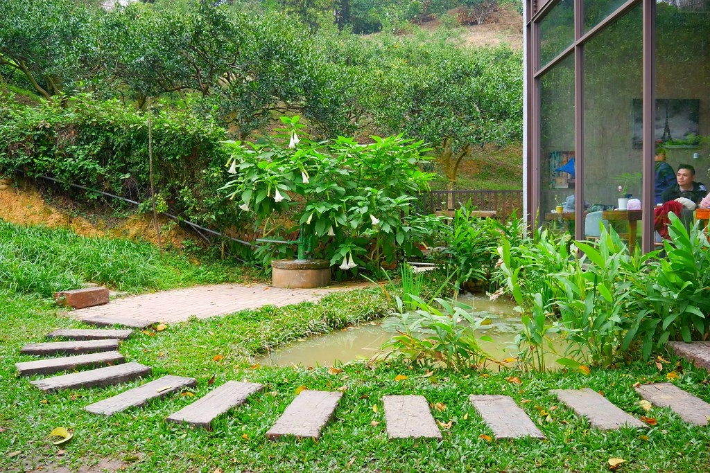 苗栗頭屋｜橙香森林．森林裡面的浪漫玻璃屋，有大片草原和橙香隧道 @飛天璇的口袋