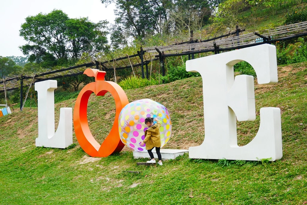 苗栗頭屋｜橙香森林．森林裡面的浪漫玻璃屋，有大片草原和橙香隧道 @飛天璇的口袋