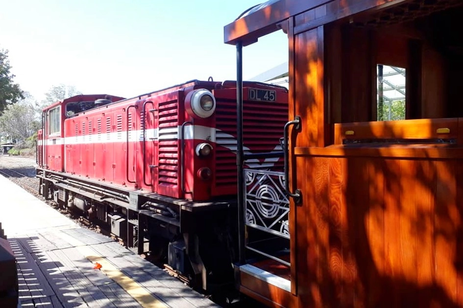嘉義旅遊｜沈睡森林主題公園．走進卡通繪本的童話世界，超療癒的IG打卡熱門景點 @飛天璇的口袋